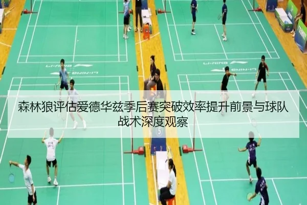 森林狼评估爱德华兹季后赛突破效率提升前景与球队战术深度观察